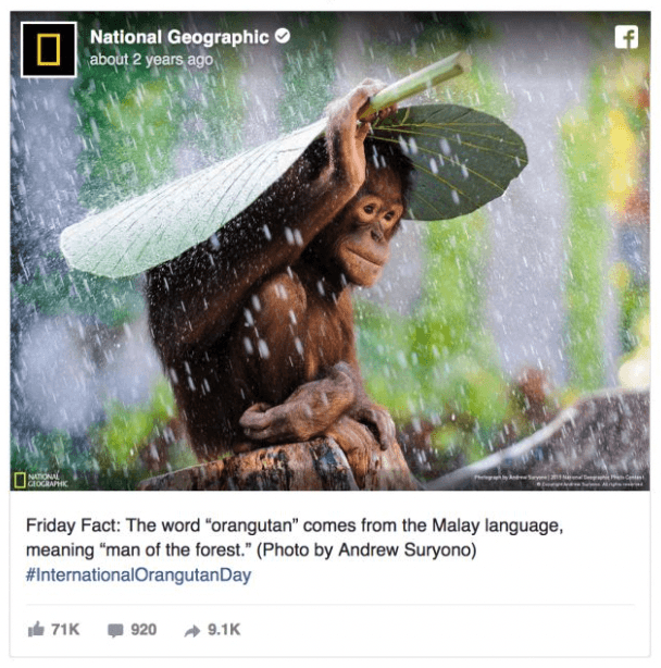 Nat Geo Marketing